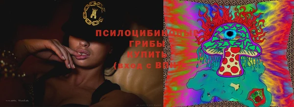 прущие крисы Баксан