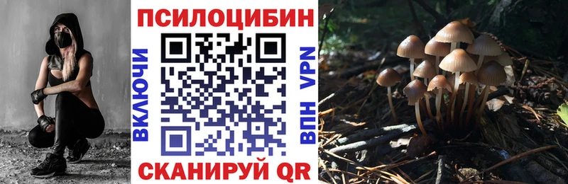 KRAKEN рабочий сайт Черняховск Псилоцибиновые грибы Cubensis