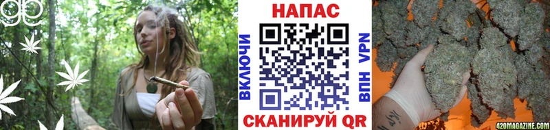 Каннабис гибрид купить наркотики сайты Черняховск